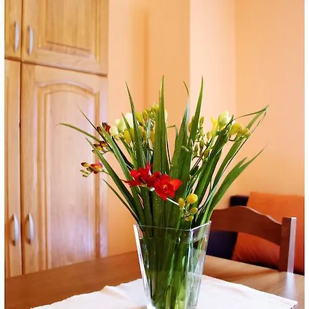 Apartman Apartment Riva Trogir